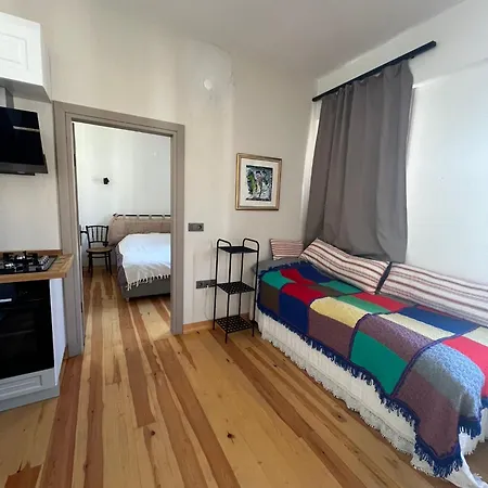 Apartament Timeless Elegance I 19th Century 1 Bedroom Ayvalı